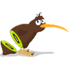 Kiwi bird