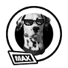 Dalmatian max sunglasses