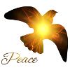 PEACE DOVE