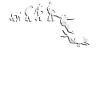 Plongeurs Evolution plongent