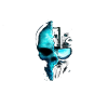 Cyber Skull