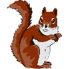 Cute Squirrel Illustration