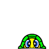 turtle rossi