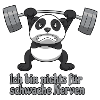 Panda Gym