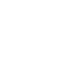 Toilet toilet gift idea