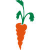 Carrot carrot