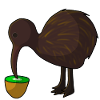 Kiwi eats kiwi