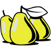 PEAR fruit bio healthy