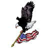 USA Eagle