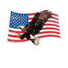 America Eagle