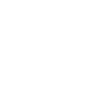 dachshund