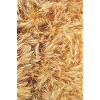 grain