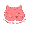 Crazy about cats