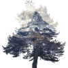 matterhorn