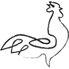 Rooster