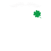 Schornsteinfeger