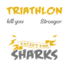 Triathlon