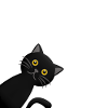 Hallo I bims, Katze