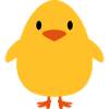 Sweet little chick