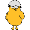 Crazy funny chicks