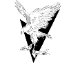 Hawk Fighter