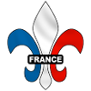 france - fleur de lys