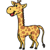 Giraffe Giraffes Wildlife Zoo Animals Animals Children