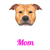 American Staffordshire