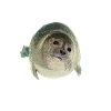 Seal