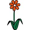 a flower