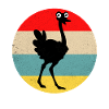 Ostrich