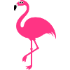 Funny Sweet Flamingo