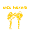 Kickboxing Kickboxer