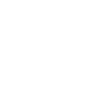 Bird watching bird
