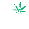 Grass Smoking Relax