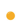 fried egg