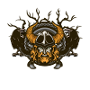 VIKINGS
