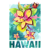 Hawaii Blume Orchidee Aloha
