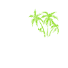 California