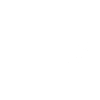Evolution Computer