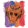 Monkey monkeys