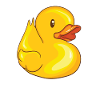 Squeaky Duck - Duck - Duck
