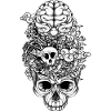 Skull Brain