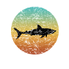 SHARK