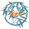 Oppa! K-pop inspired design