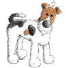 Fox Terrier - Chien