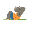 Training rhinoceros.