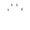 Malinois Belgian Shepherd dogs paw