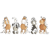 Funny Horses - Horse