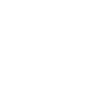 Polygon Butterfly